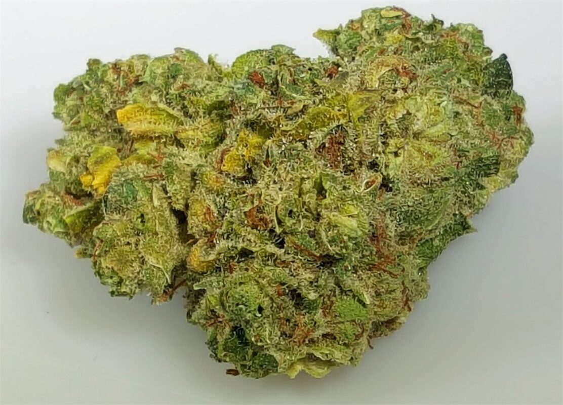 24K GOLD Marijuana Strain