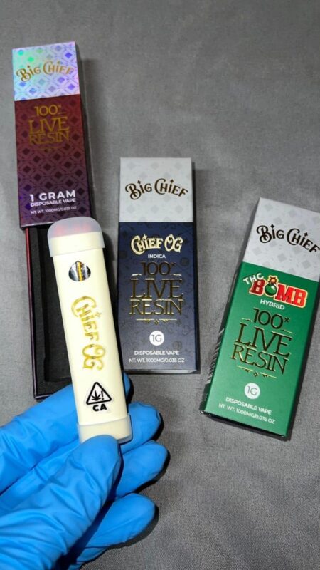 Big Chief Disposable Pen