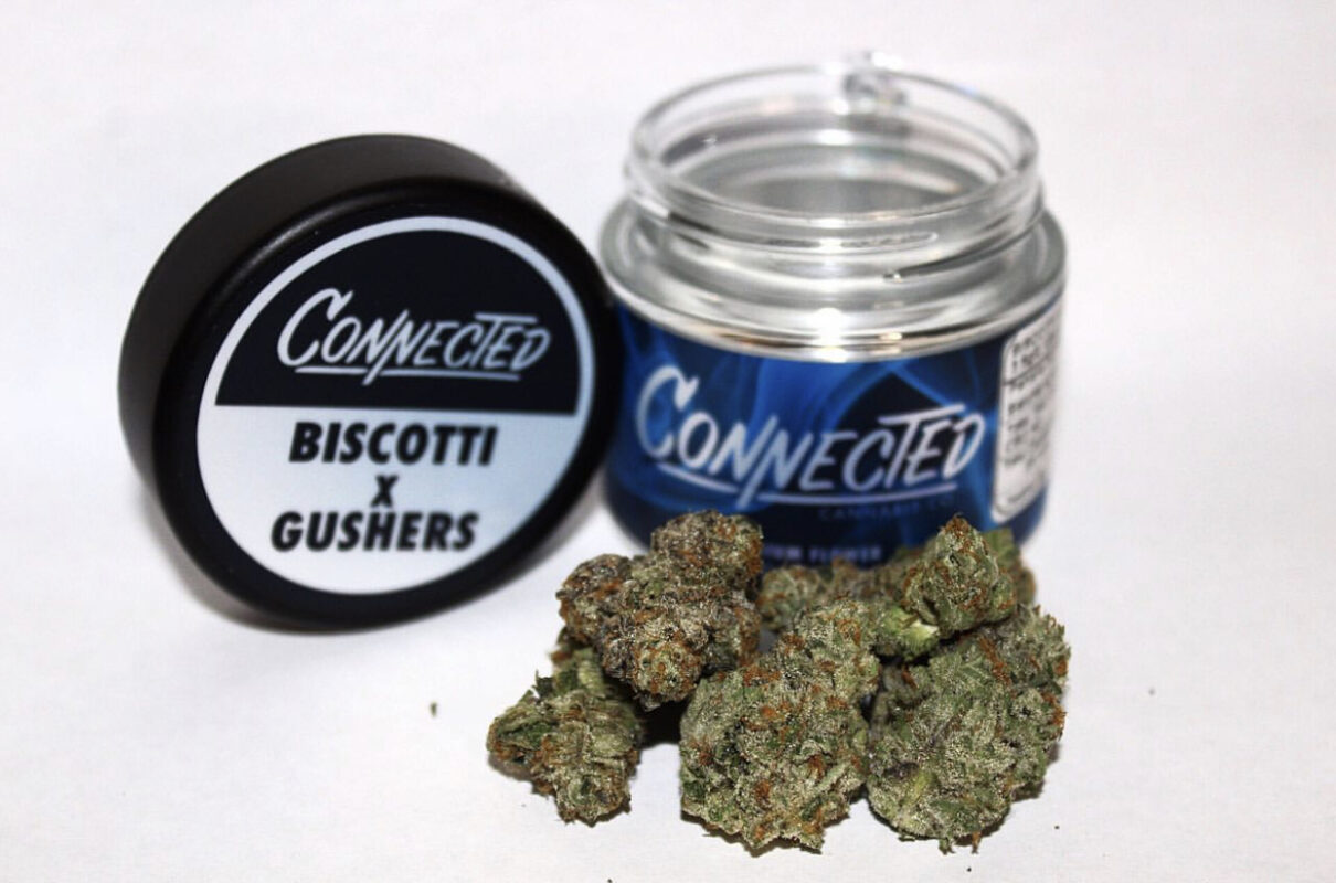 Biscotti x Gushers Indoor