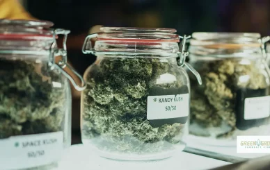 buy cannabis in Belgium