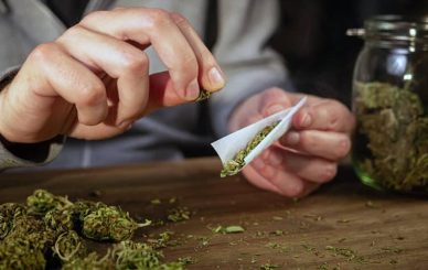 order cannabis legally in the Netherlands