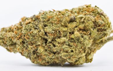 buy cannabis in Spain