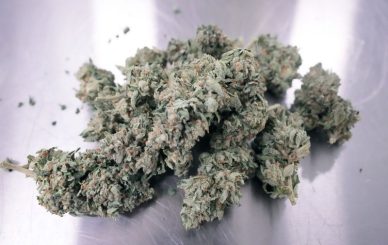 legally buy cannabis in Germany