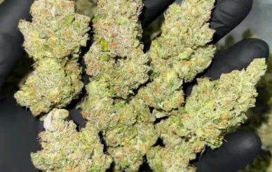 order cannabis in Hungary