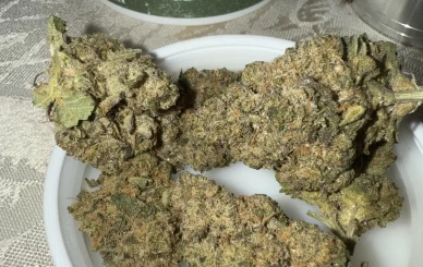 buy weed in Santiago