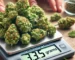 buy cannabis online in Spain