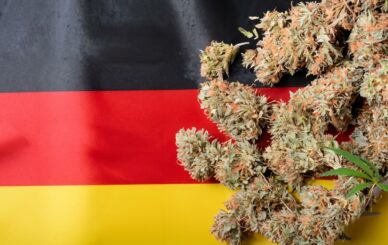 buy weed online in Frankfurt