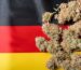 buy weed online in Frankfurt