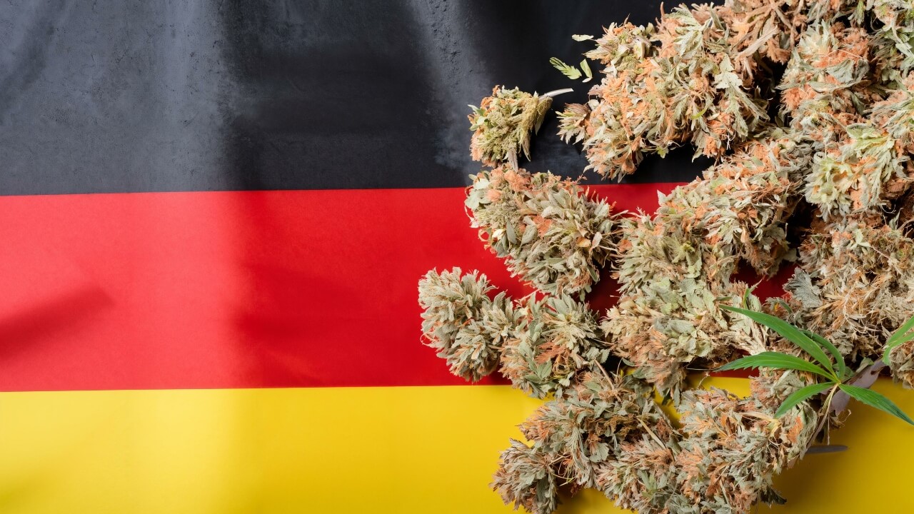 buy weed online in Frankfurt